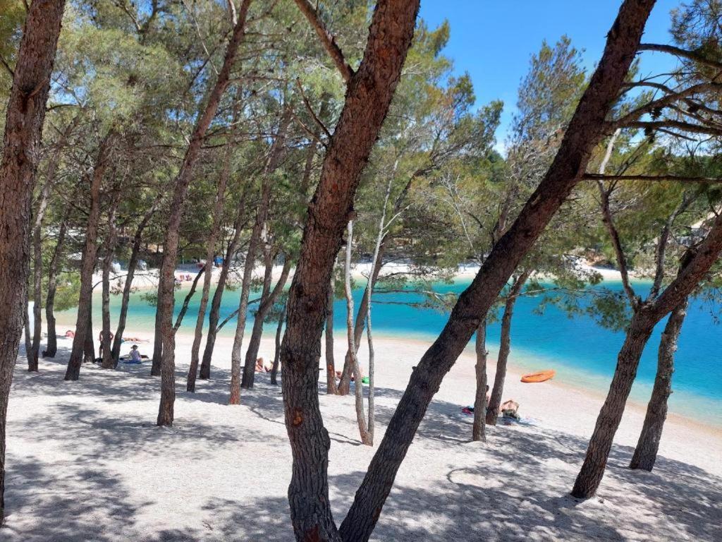 Luxury Mobile Home Pretty Green - Premium - Oaza Mira Resort -50 M From The Beach Drage Bagian luar foto